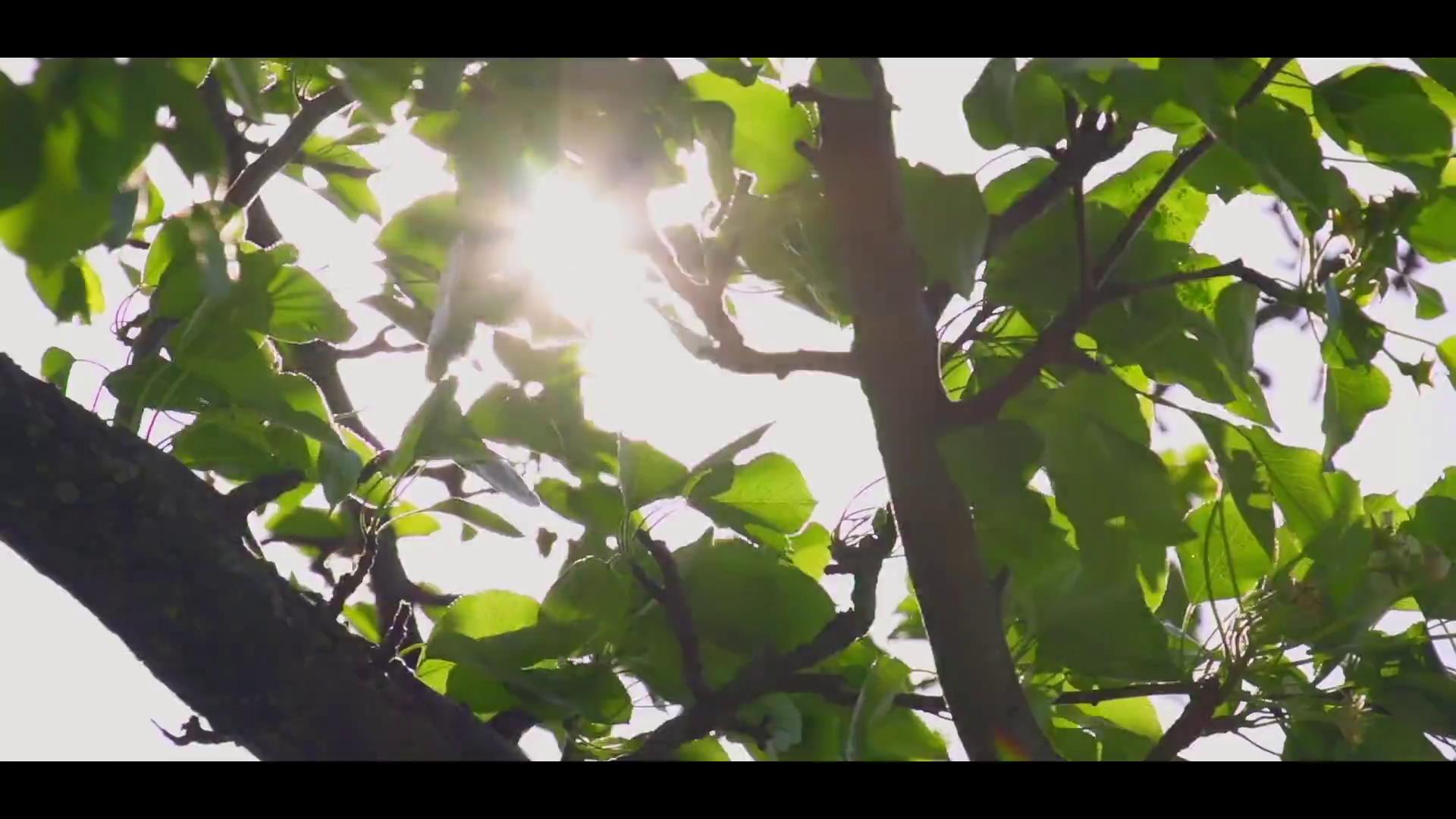 西安高新技师学院